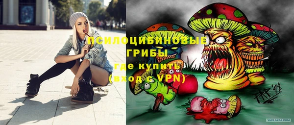 spice Богородицк